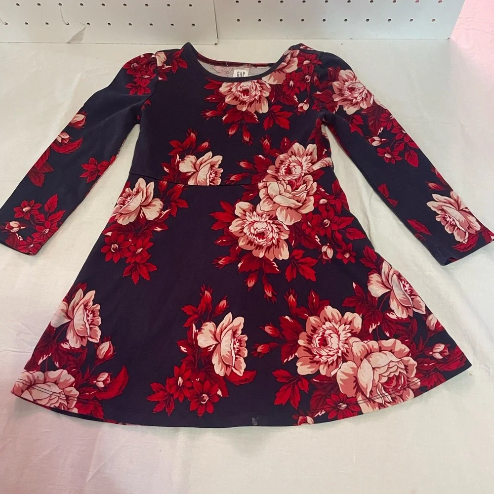 GAP Kids Navy Floral Dress with Red & Pink Blooms